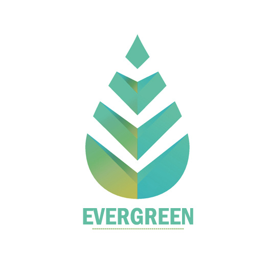 Evergreen | PURER | STYLE ON