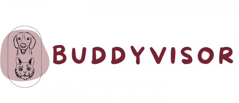 Buddyvisor