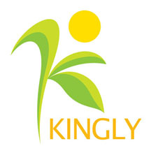 Kingly Technologies祺豐科技有限公司