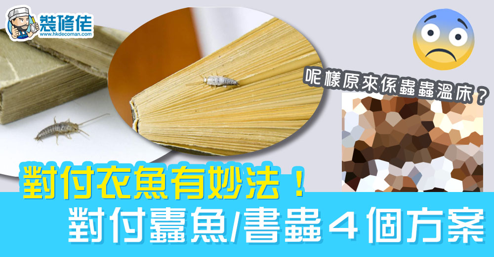 潮濕除蟲