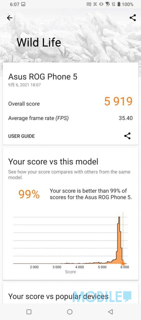 ASUS ROG Phone 5s Pro