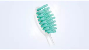 设计用于去除牙菌斑，而且能轻柔呵护牙龈