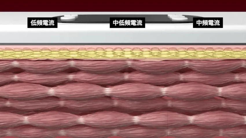 01 (26)_1.webp