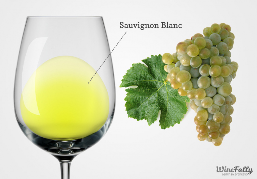 About Sauvignon Blanc Wine - Taste, Regions and Food Pairing ...