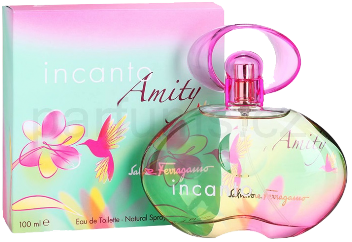 incanto amity perfume price
