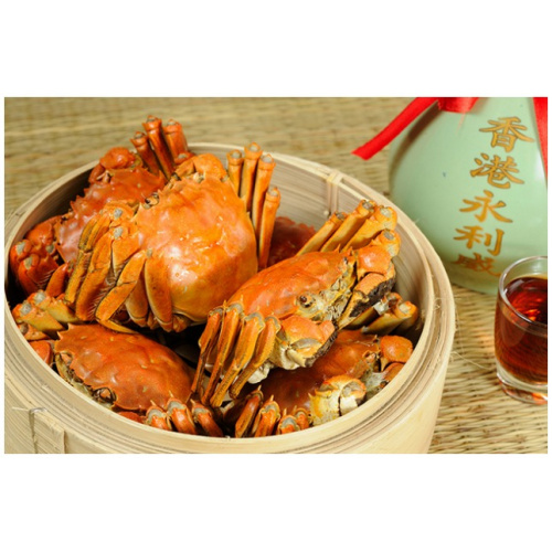 永利威 江蘇養殖場大閘蟹