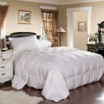 Ceres 冷氣被 [4尺寸]