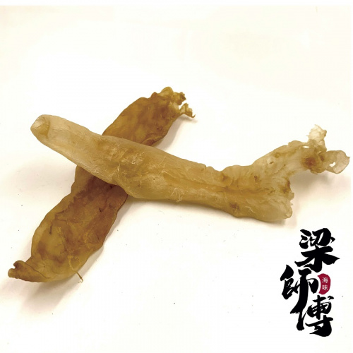 深海金龍肚(20頭)[1斤]