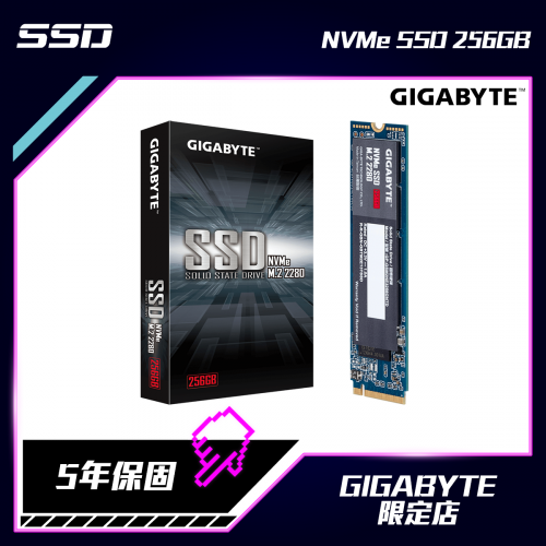 GIGABYTE NVMe SSD 固態硬碟 256GB [GP-GSM2NE3256GNTD]