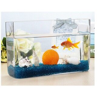2202 -創意水族箱玻璃長方形條形方形金魚缸辦公桌面 迷你小型造景魚缸 2202 - Creative Aquarium Glass Rectangle Strip Square Goldfish Tank Desk Top Mini Small Landscape Fish Tank