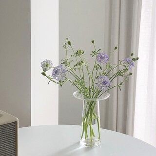 Julie’s choice｜現貨🚀韓國歐膩的簡約玻璃花瓶🌷 北歐風花器 Julie's choice｜Spot 🚀Korea European greasy simple glass vase 🌷 Nordic style flower device