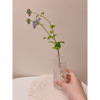 現貨實拍🌿菱格紋 玻璃花瓶 浮雕花瓶 簡約 透明花瓶 室內花器 Spot real shot🌿Lingge pattern glass vase embossed vase simple transparent vase indoor flower
