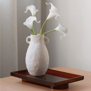 Dreamerhouse 異形創意水培陶瓷花瓶裝飾餅乾花佈置幾何工藝品 Dreamerhouse Alien Creative Hydroponic Ceramic Vase Decorative Biscuit Flower Arrangement Geometric Crafts