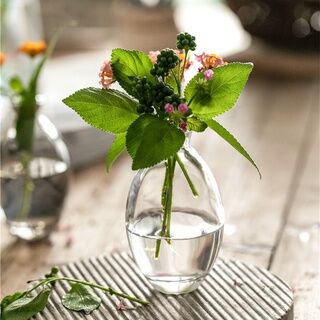 【SOFT HOME】北歐小清新桌面水培綠植花瓶套裝 插花瓶鮮花乾燥花擺件 [SOFT HOME] Nordic Small Fresh Desktop Hydroponic Green Plant Vase Set Vase Arrangement Flower Dry Flower Ornament