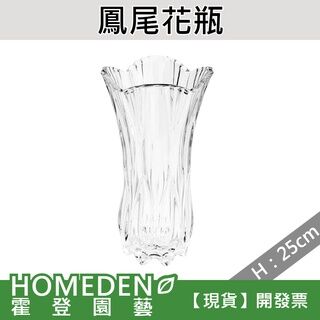 【現貨】 鳳尾花瓶 25公分 玻璃花瓶 透明玻璃 【HOMEDEN 霍登園藝】 [Spot] Phoenix Vase 25cm Glass Vase Transparent Glass [HOMEDEN Horden Gardening]