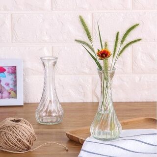 【人間煙火】創意花瓶 簡約水培植物玻璃瓶 花瓶花盆 透明風信子水養綠蘿花瓶 [Fireworks on Earth] Creative vase Simple hydroponic plant glass vase Vase flowerpot Transparent hyacinth water-raising green dill vase