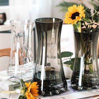 『現貨 24小時出貨』玻璃花瓶 輕奢簡約 花瓶 居家擺飾 客廳 餐桌【家 16】 "Spot 24 Hours Shipment" Glass Vase Light Luxury Simple Vase Home Decoration Living Room Dining Table【Home 16】