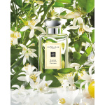 Jo Malone Eau de Cologne系列香水 [多款]