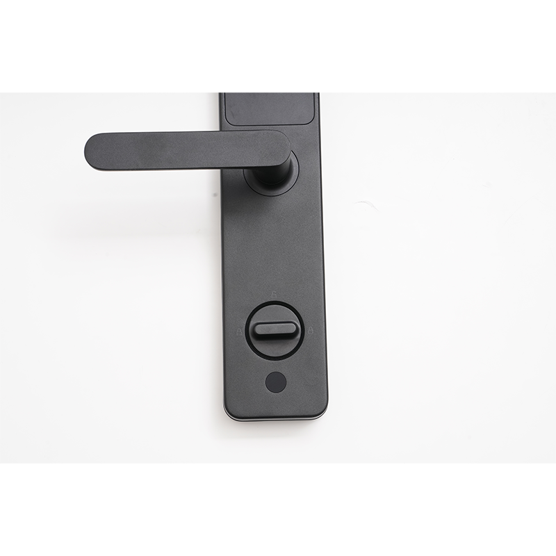 Aqara Smart Door Lock A100 Zigbee 智能門鎖 包基本上門安裝