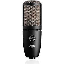 AKG Pro Audio P220 Vocal Condenser Microphone 麥克風 (平行進口)