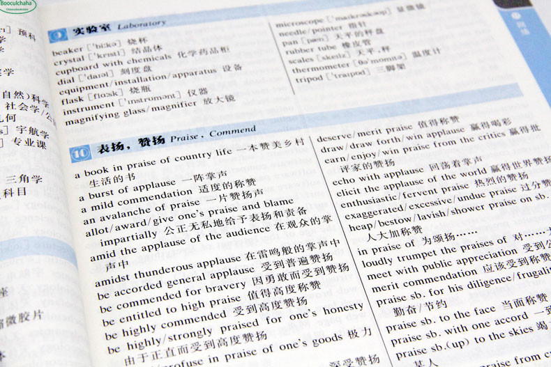 中文英文圖書詞典 7000+ 英語單詞、短語組合和慣用語