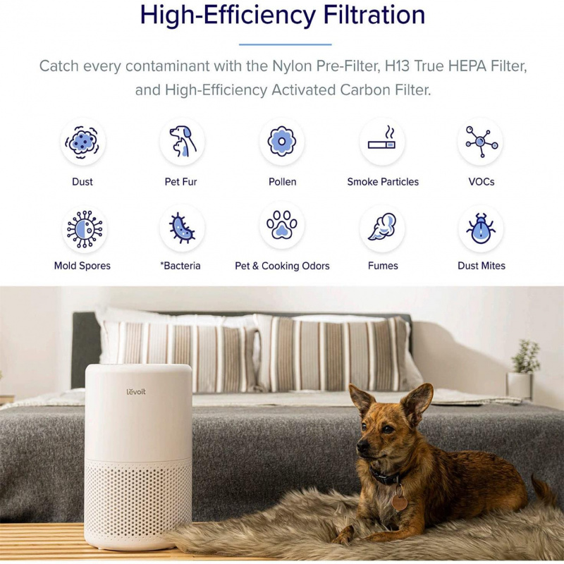 LEVOIT Home Great Room 空氣淨化器、智能 WiFi Alexa 控制、H13 真正 HEPA 過濾器，適用於過敏、寵物、Somke、灰塵