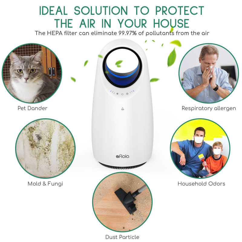家庭辦公室空氣淨化器，有效去除異味煙霧寵物皮屑，HEPA 過濾器和 3 檔可調