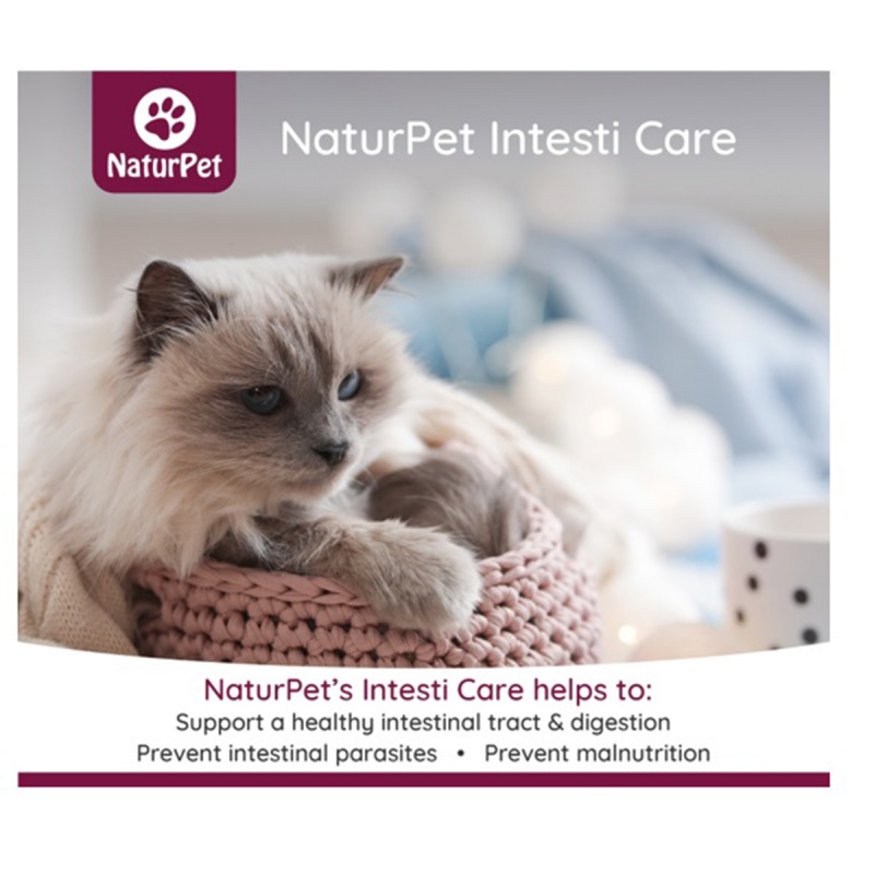 加拿大NaturPet 全天然草藥 貓狗腸道護理補充劑 165g【市集世界 - 美加市集】