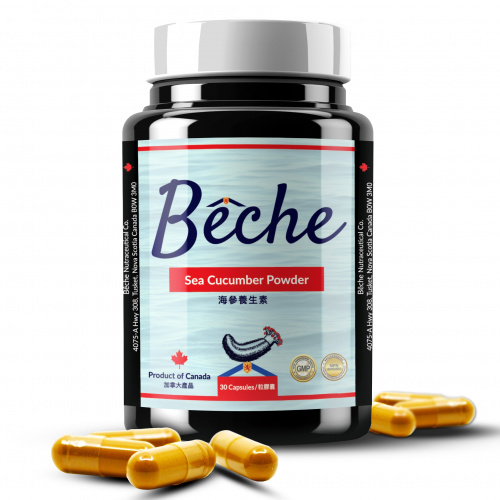 Bêche 加拿大野生北極海參濃縮精華膠囊600毫克 [30粒] [1/3樽]