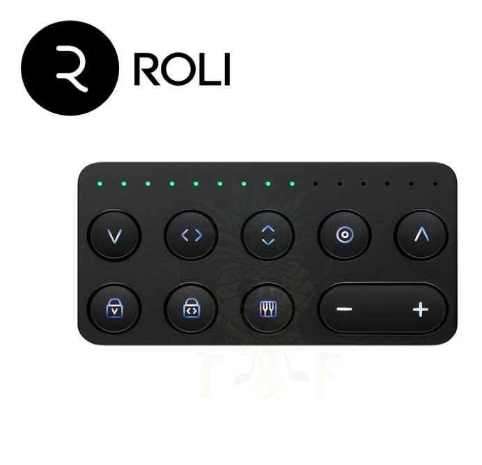 ROLI Touch Block 表現控制