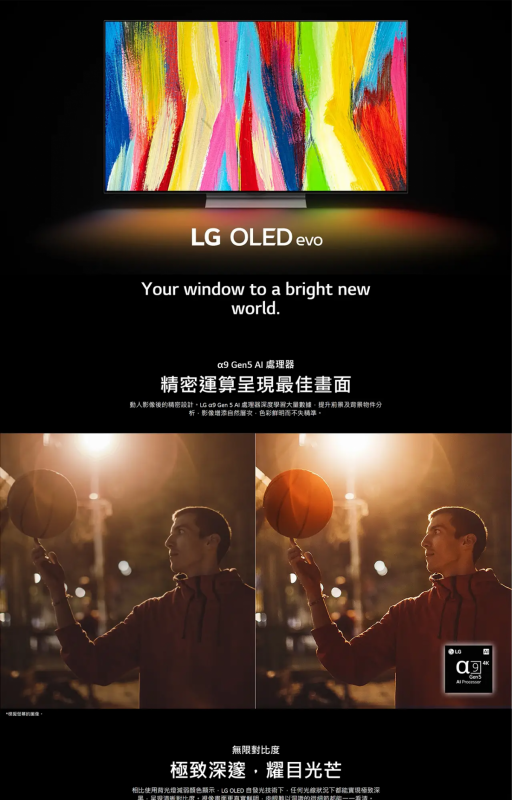 LG 樂金 42'' OLED evo C2 4K TV OLED42C2PCA 42C2PCA 2022 new