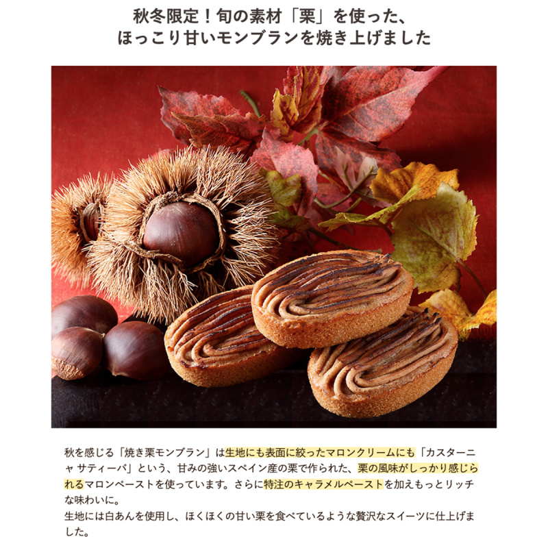 日本Henri C. 法式 季節限定 炙燒栗子 Mont lanc 勃朗峰蛋糕小禮盒 (1盒2件)【市集世界 - 日本市集】