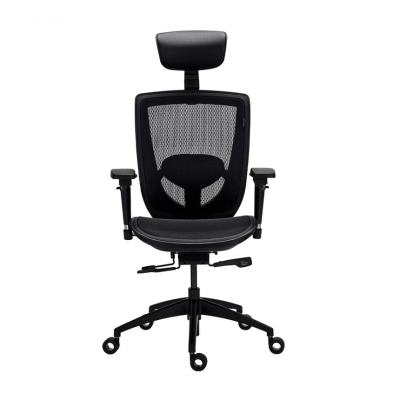 (11月優惠)Tesoro Alphaeon E3 人體工學椅