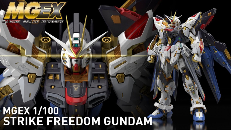 Bandai namco master grade extreme - Strike freedom fundamentals Z.A.F.T. Mobile Suit ZGMF -X20A