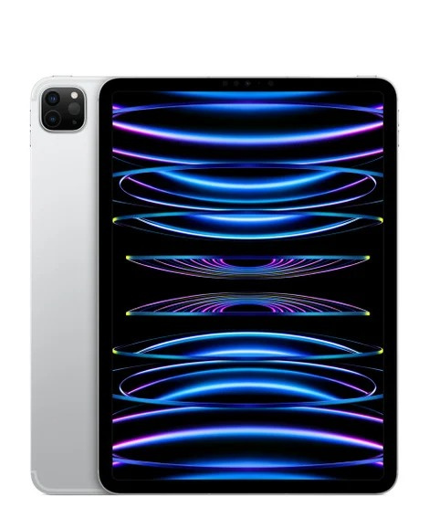 Apple iPad Pro 11吋 WIFI+流動網絡 2022 (多容量) [2色]