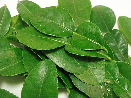 泰国柠檬叶 [约50g]