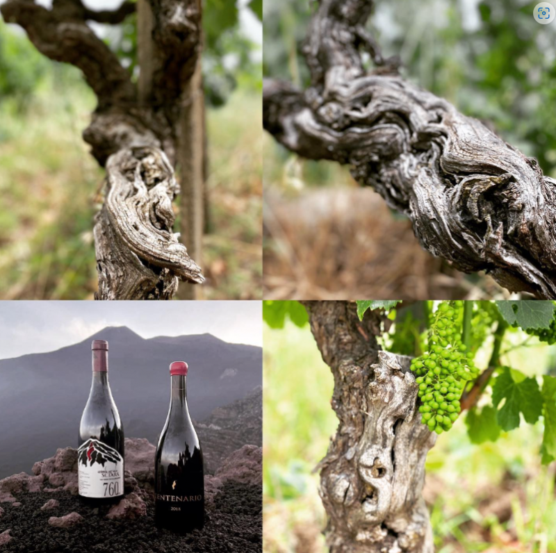 Azienda Agricola Sciara 1200 Meters Etna Rosso 2018 意大利熔岩酒莊海拔1200紅酒 (香港釀酒師Stef Yim)
