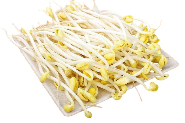 大豆芽 [约500g]