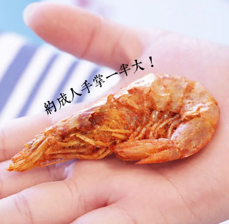台灣製 海邊走走 一隻蝦