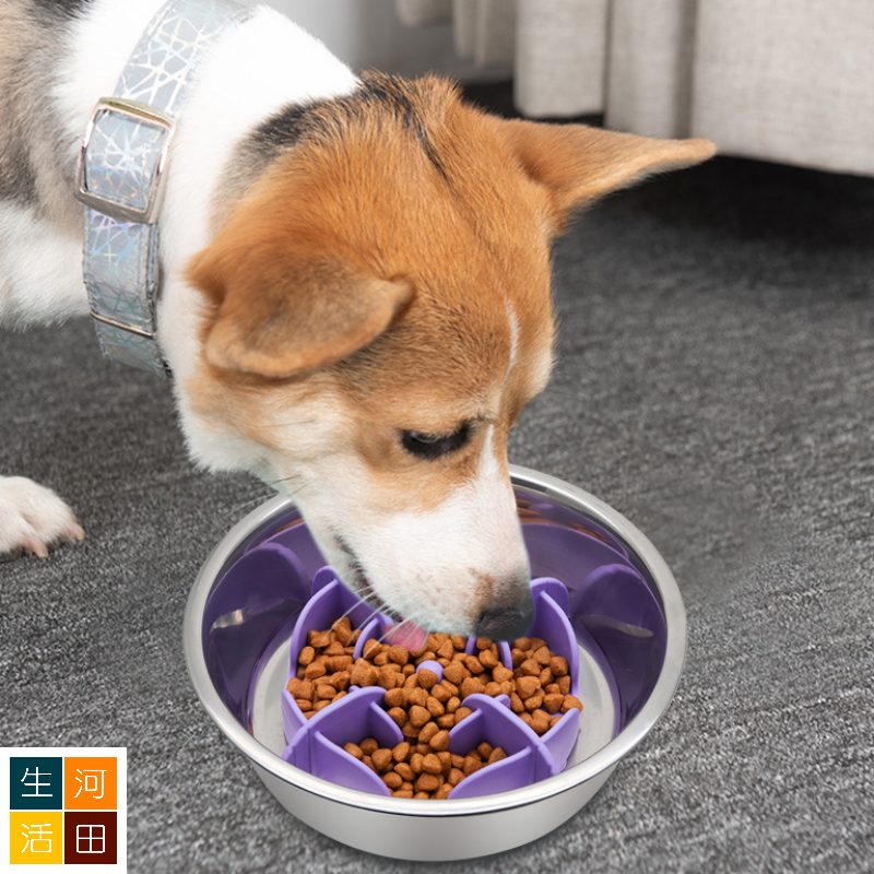 寵物慢食碗 貓狗緩食碗 防窒息防噎 慢速餵食