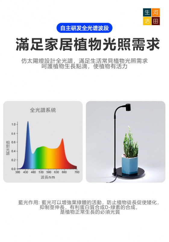 青苔生態瓶+LED植物補光燈初探套裝|迷你植物盆栽|水族植物微景觀燈|苔蘚燈