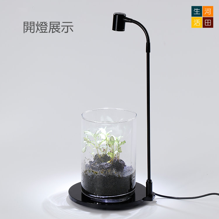 青苔生態瓶+LED植物補光燈初探套裝|迷你植物盆栽|水族植物微景觀燈|苔蘚燈