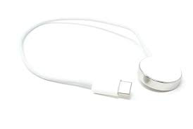 Apple 原廠 Watch Magnetic Charger to USB-C Cable (0.3 m)