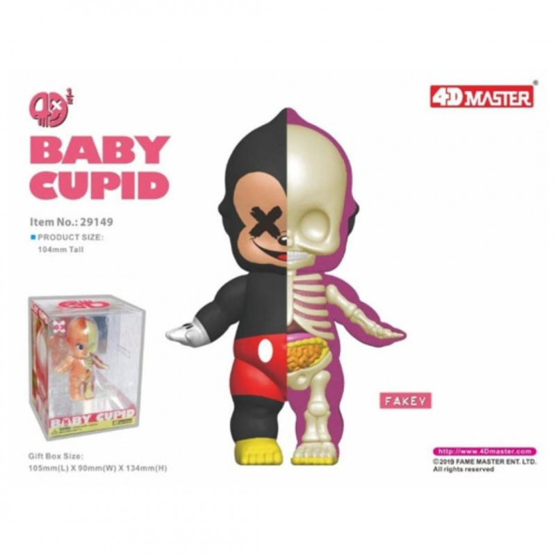 全新現貨4D Master Anatomy Cupid Baby 4