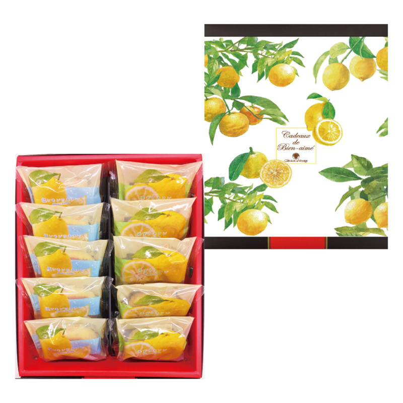 日本GV 横浜馬車道 季節限定 檸檬鹽及柚子 2款口味 法式Souffle梳乎厘蛋糕禮盒 (1盒10件)【市集世界 - 日本市集】