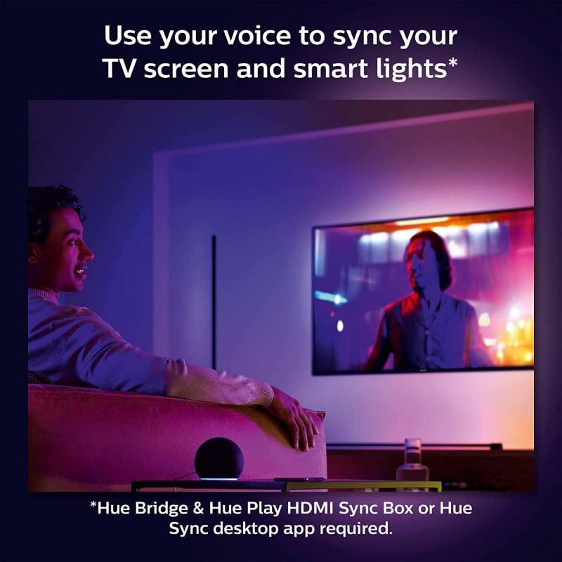 Philips Hue Gradient Tube White and Colour Ambiance 大燈管 - 黑色 [Large ...