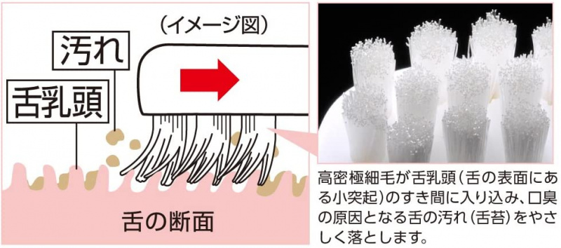 日本製 EBiSU 口臭對策 舌苔清潔刷 舌苔刮/舌苔器 x1 *香港現貨