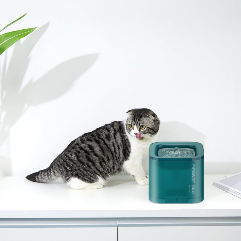 PETKIT EVERSWEET SOLO 寵物智能飲水機
