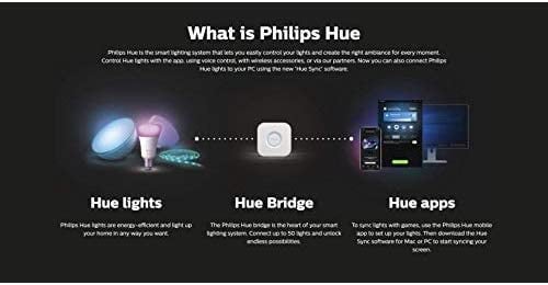 Philips 飛利浦 Hue White and Color Ambiance Play Light Bar Double Pack 78202