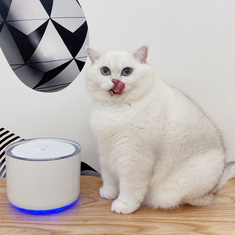 MIIIBO DRINK MINI 貓咪寶鋅離子無線水泵寵物智能飲水機